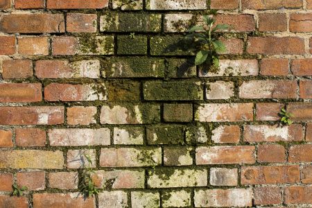 Scrub Away To Keep Mold At Bay