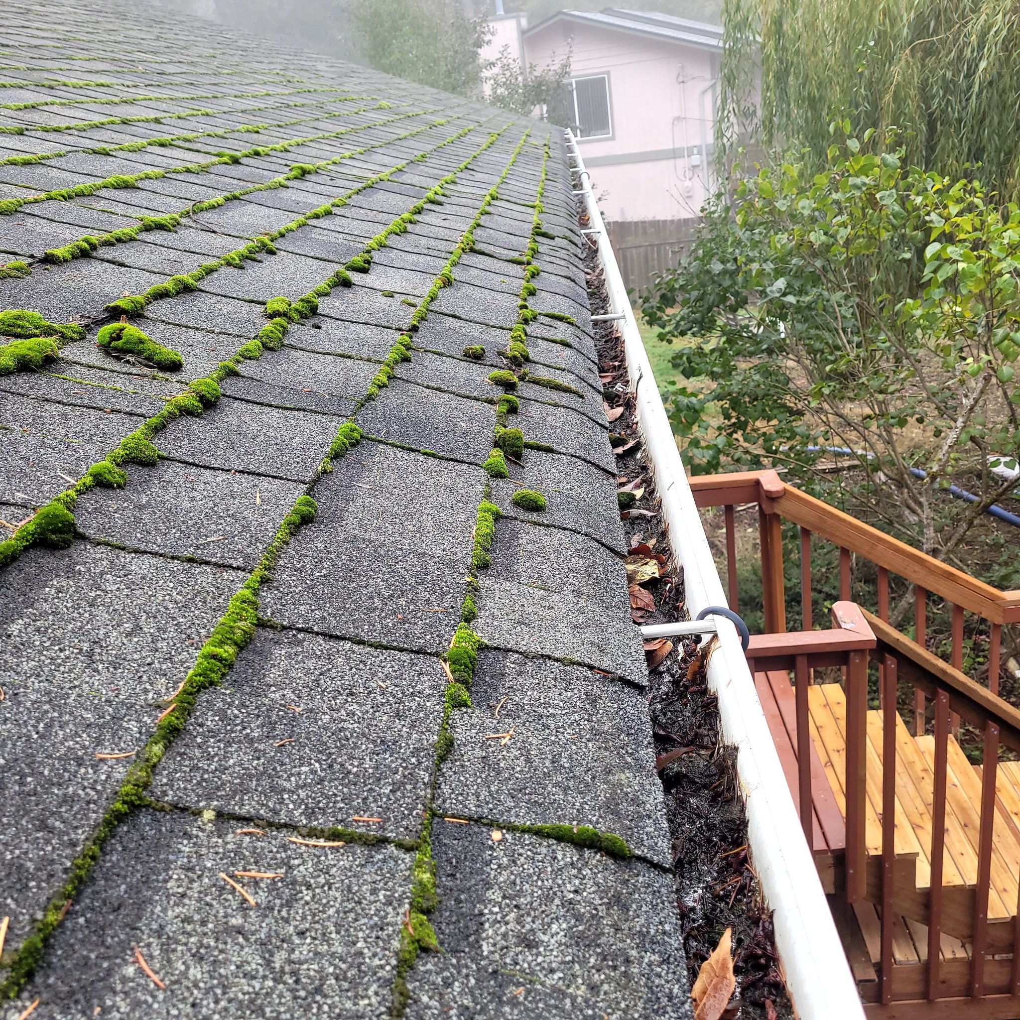 Bremerton, WA Roof Cleaning