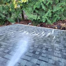 Bremerton, WA Roof Cleaning 1