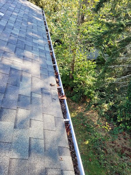 Gutter Cleaning in Suquamish, WA