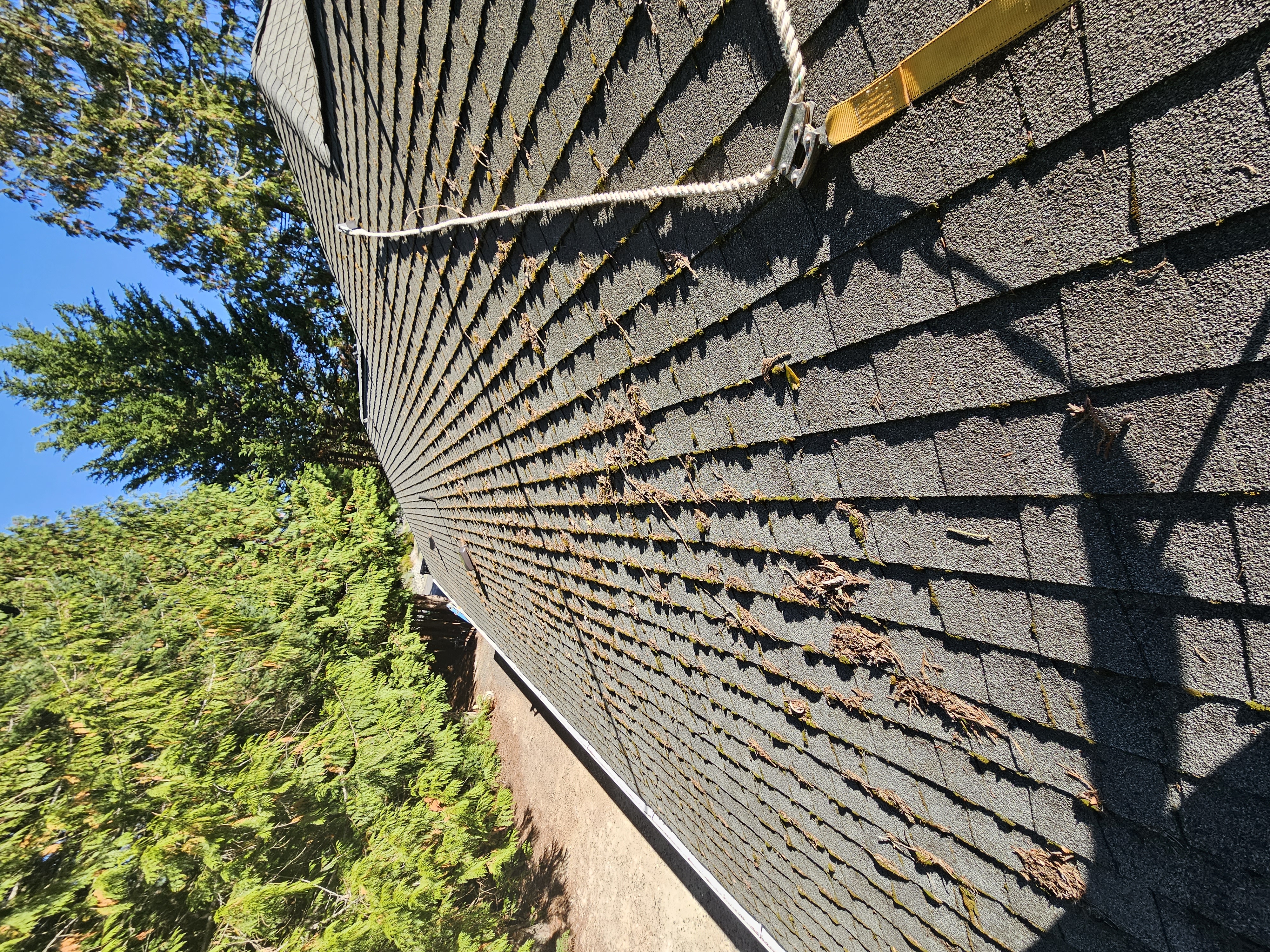 Leading Roof and Gutter Cleaning in Port Ludlow, WA