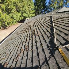 Leading-Roof-and-Gutter-Cleaning-in-Port-Ludlow-WA 4
