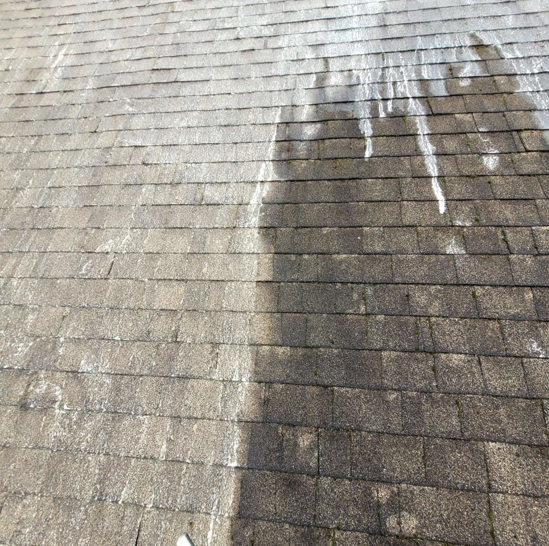 Moss Removal and Roof Cleaning in Bremerton, WA