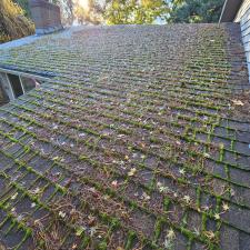 Moss-Removal-Gutter-Cleaning-Roof-Treatment-in-Poulsbo-WA-Kitsap-County 0