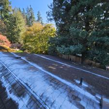 Moss-Removal-Gutter-Cleaning-Roof-Treatment-in-Poulsbo-WA-Kitsap-County 2