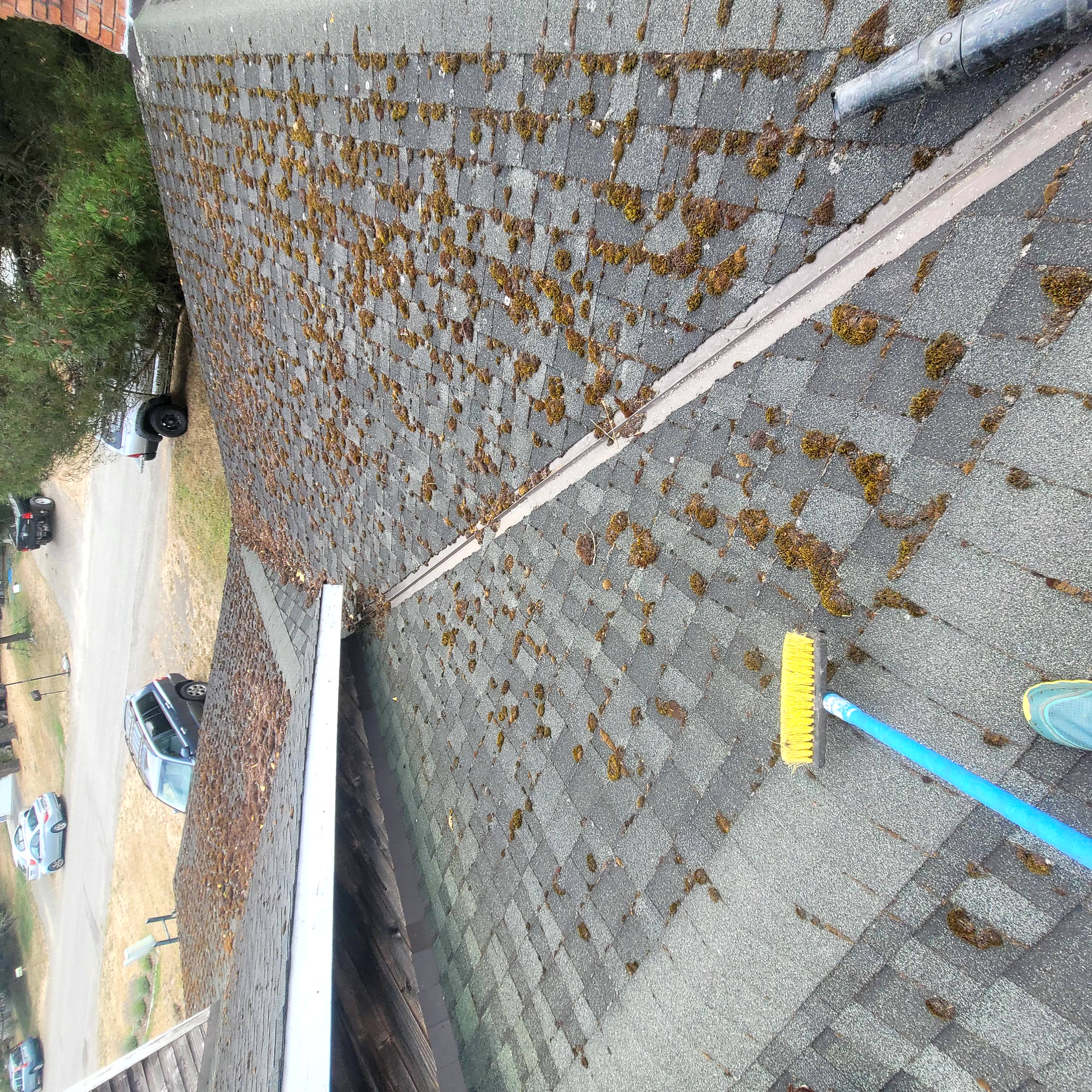 Moss Removal, Gutter Cleaning & Trim Painting in Port Townsend, WA