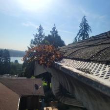 Roof-and-Gutter-Cleaning-House-Wash-and-Window-Cleaning-in-Poulsbo-WA-Kitsap-County 0