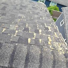 Roof-and-Gutter-Cleaning-in-Poulsbo-WA 1