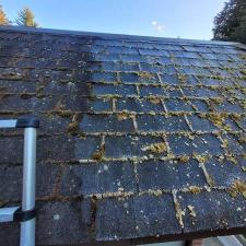 Roof Cleaning and Pressure Washing in Port Orchard, WA 0