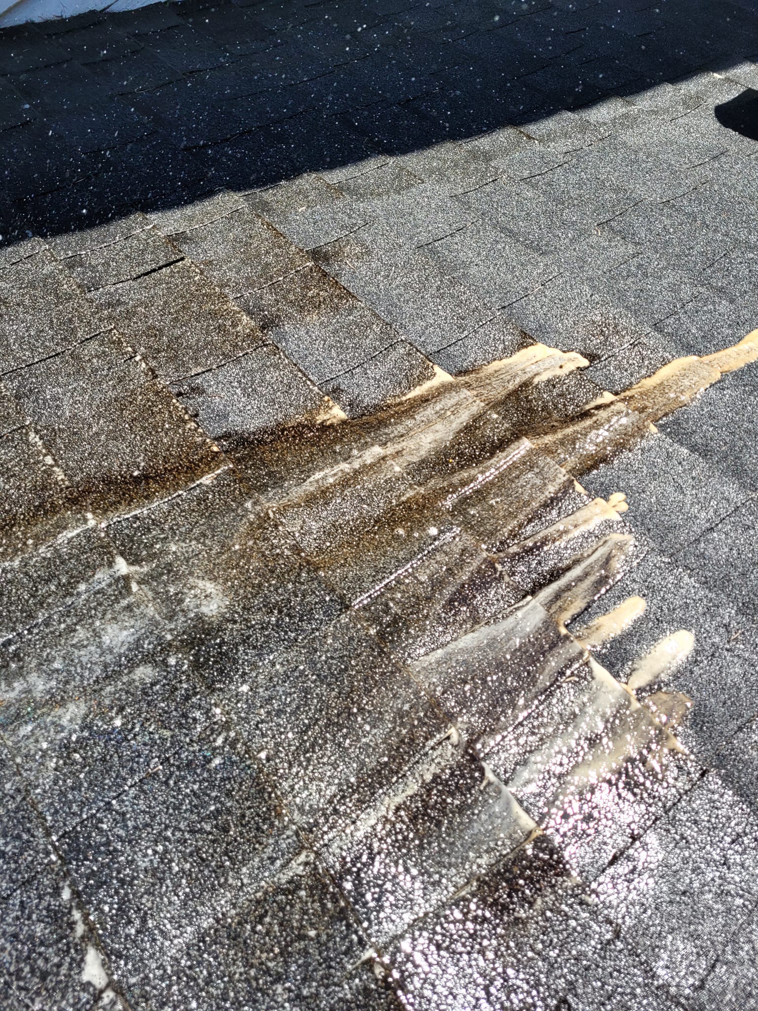 Roof & Gutter Cleaning in Silverdale, WA