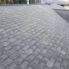 House wash roof cleaning