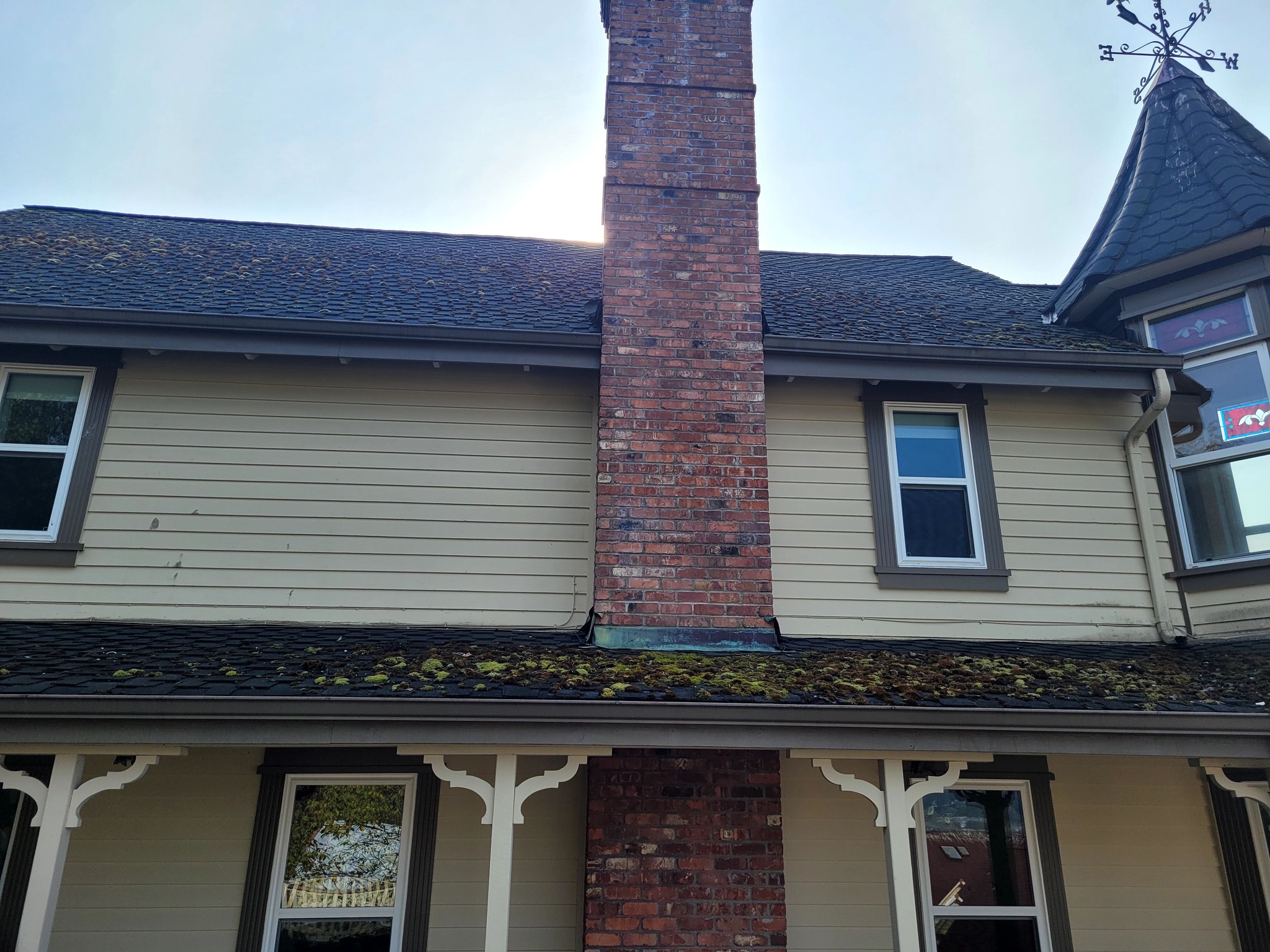 moss-removal